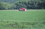 架空历史(架空历史：探索另一种历史可能)